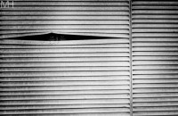 /album/miljo/dsc-0162-copy-jpg/